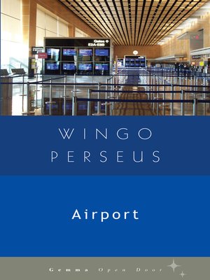Airport - ebook